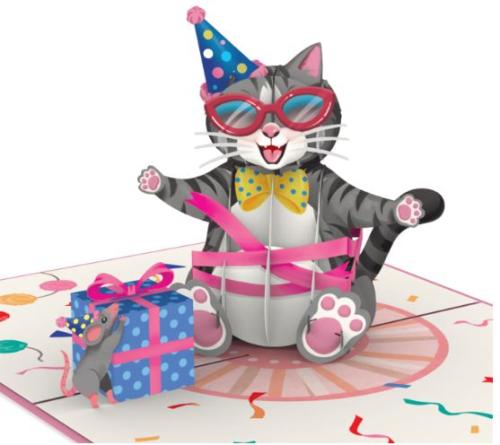 3-d-verjaardags-kaart-pop-up-kat