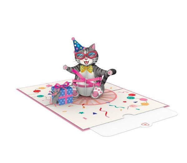 3-d-verjaardags-kaart-pop-up-kat