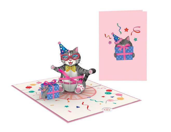 3-d-verjaardags-kaart-pop-up-kat